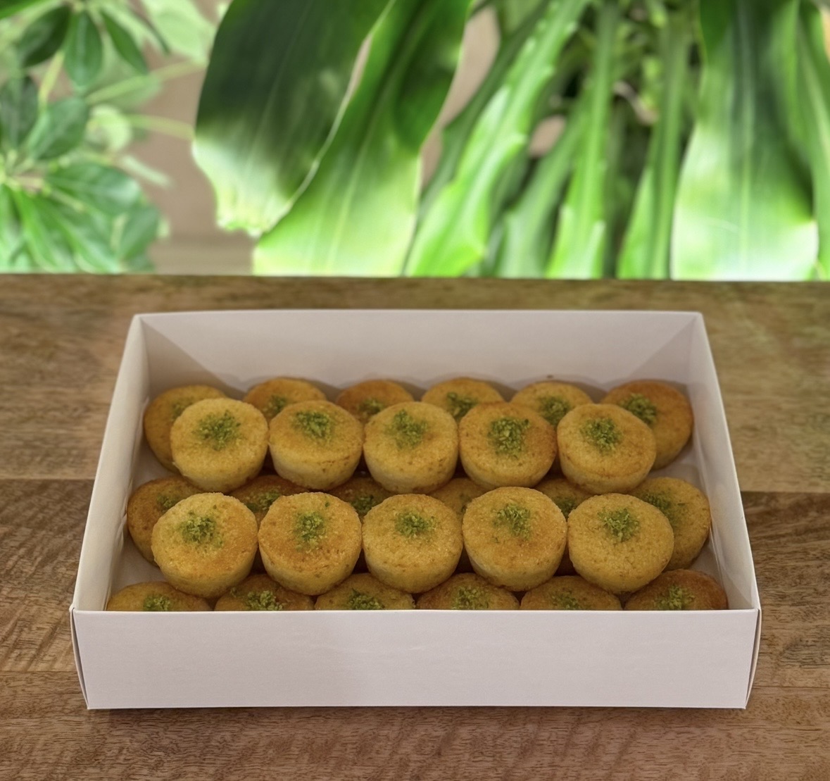 Mini Basbosa