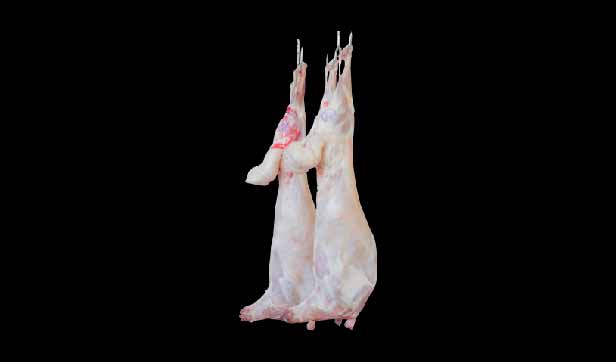 Kashmiri Lamb (Approx 10 to 11 KG)