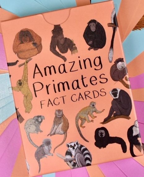 Amazing Primates Fact Cards