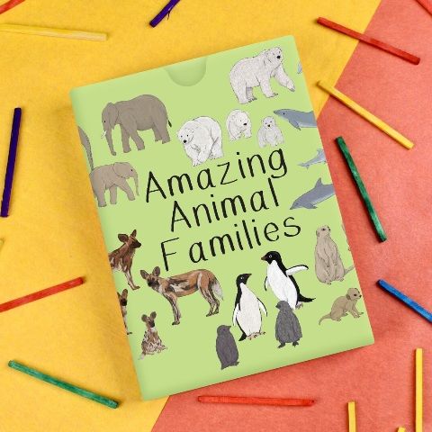 Amazing Animal Families Card