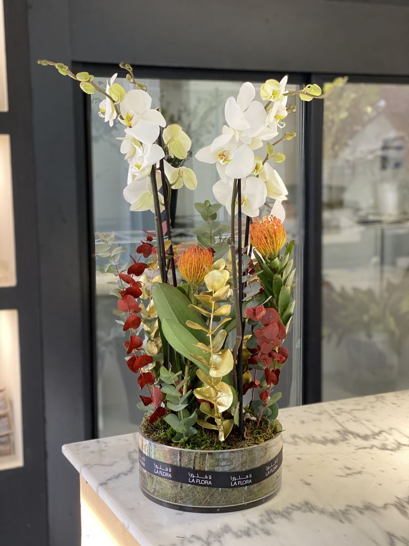 laflora's orchid