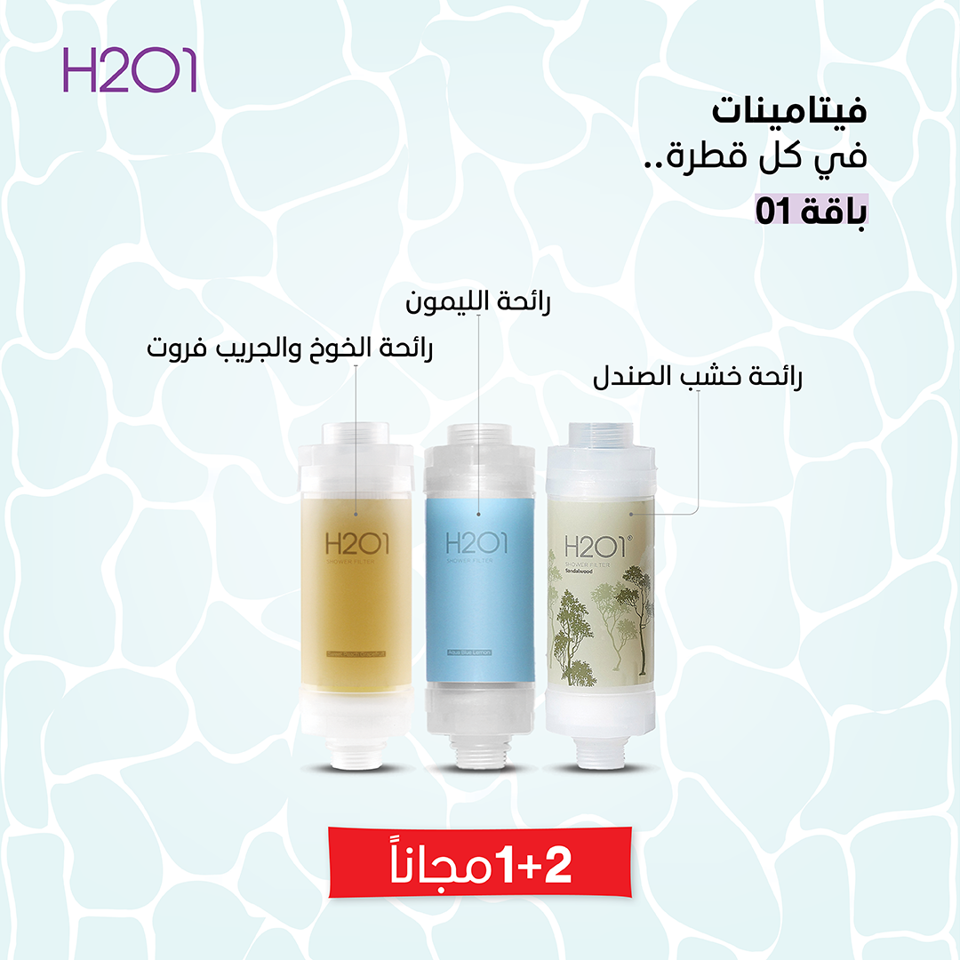 Limited Offer 2+1 Free - C