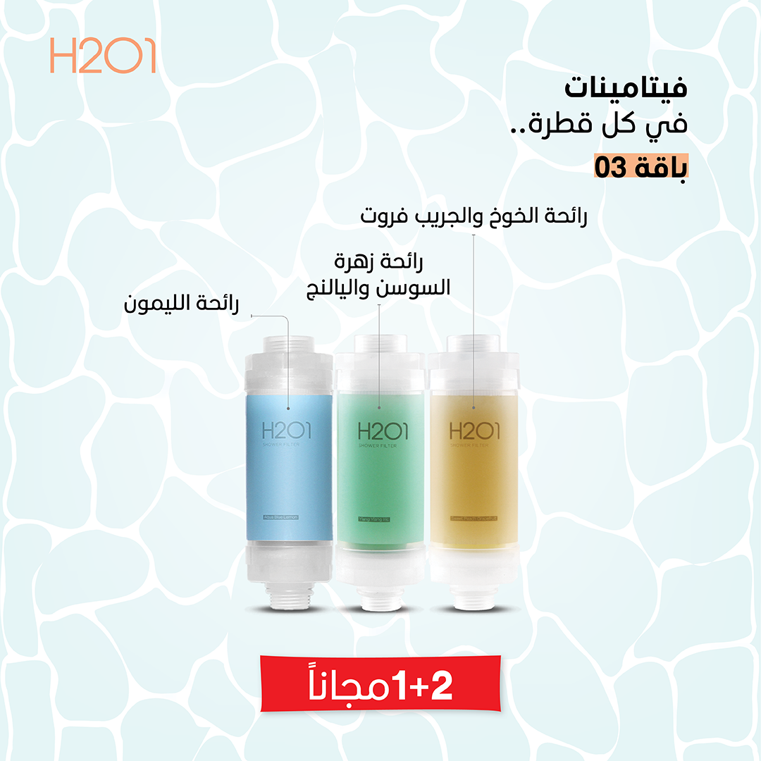 Limited Offer 2+1 Free - A