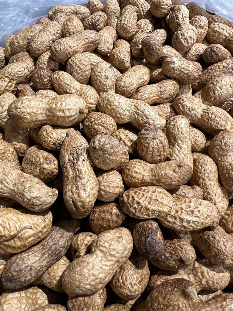 No: 1022 فول سوداني بالقش
