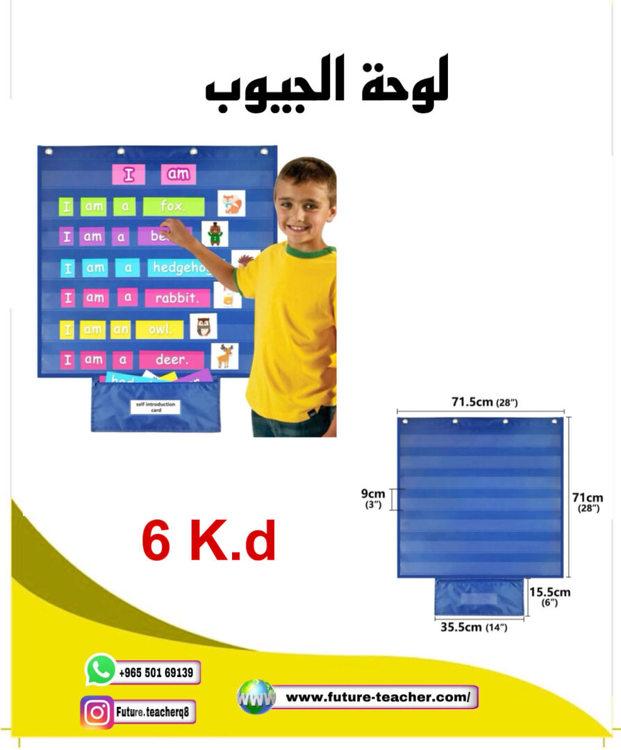 لوحة الجيوب