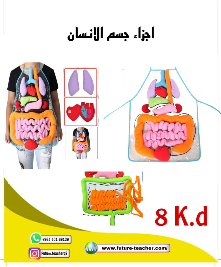 صديري اعضاء جسم الانسان