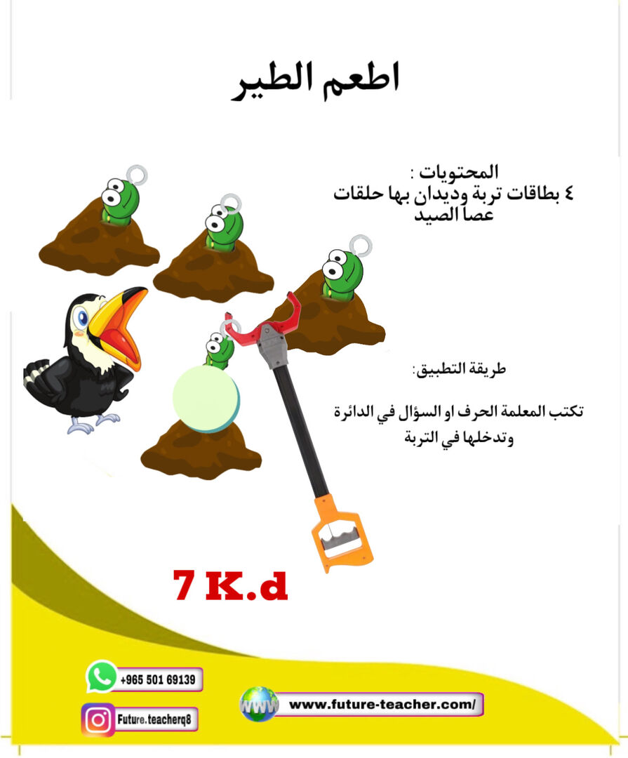 اطعم الطير