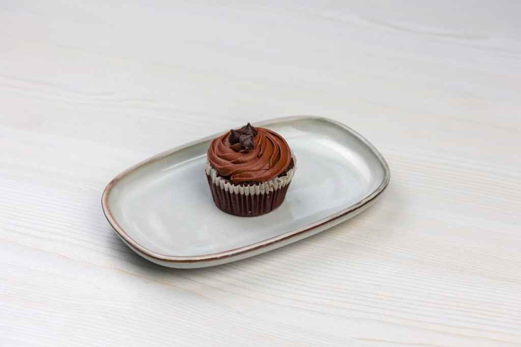 Double Chocolate Muffins