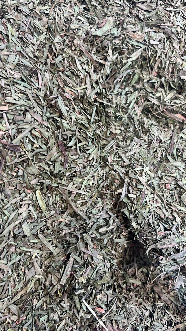 No: 1062 طرخون /Tarragon