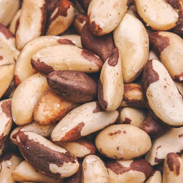 بندق برازيلي