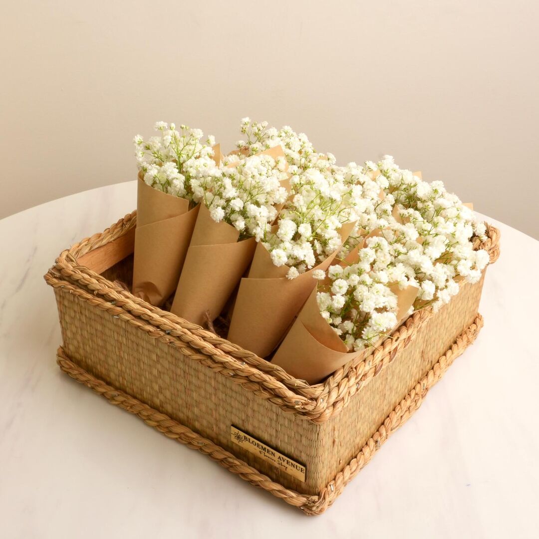 Mini Gypsophillia bouquets C 5