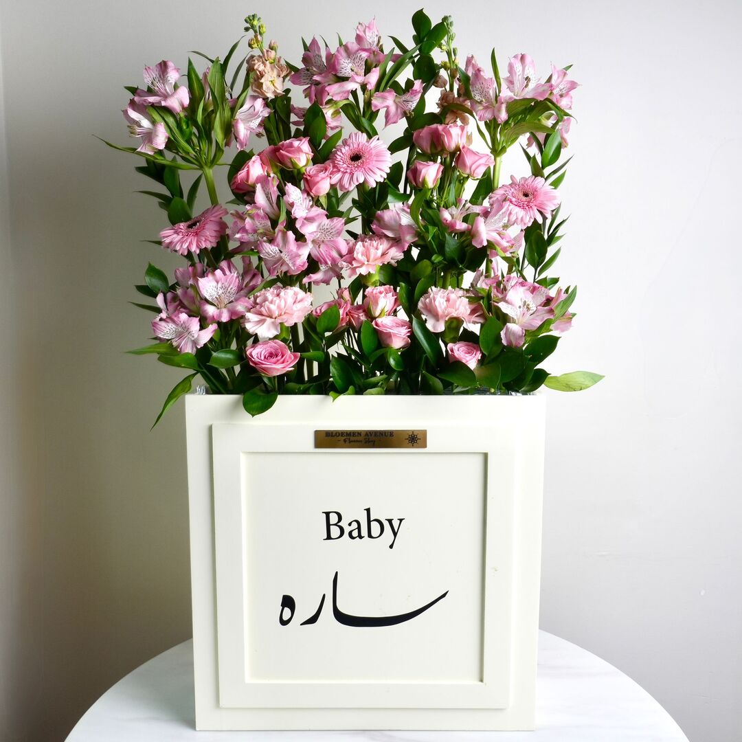 Pink Baby Blossom T26