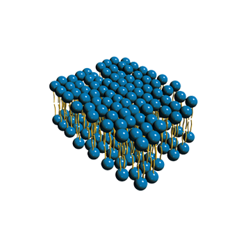 شركة الشبك الذهبي الخليجي