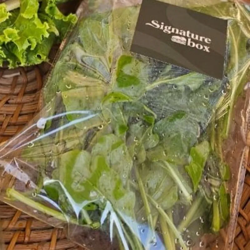 Gargeer