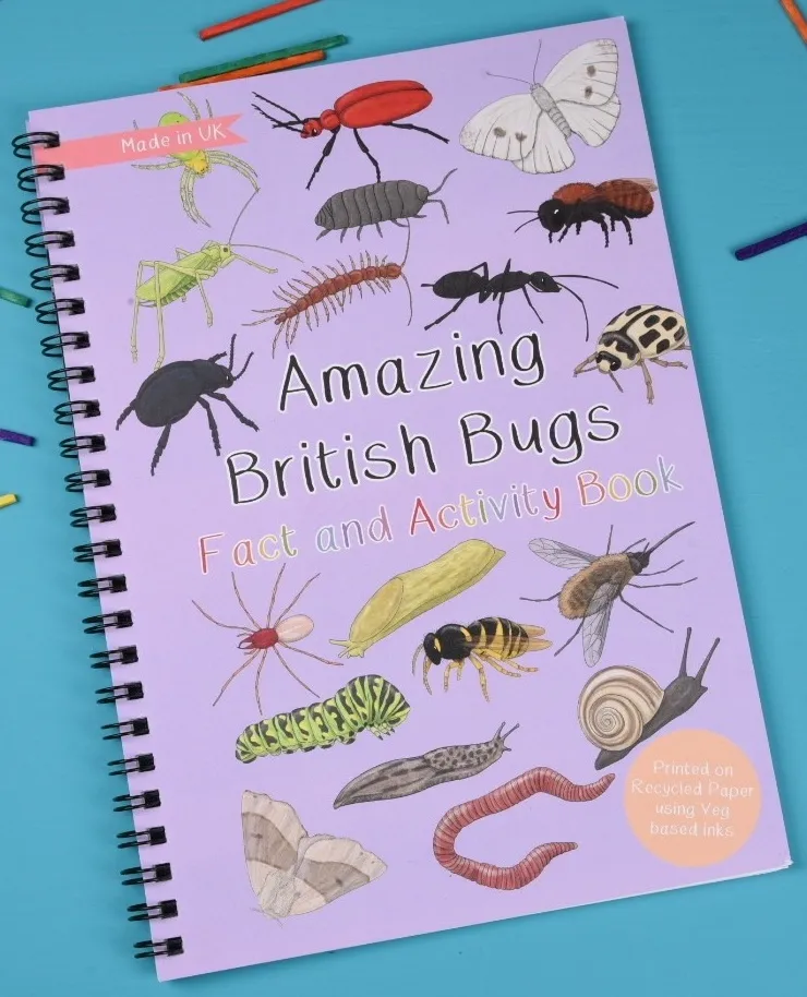 Amazing British Bugs Fact and Activity Book
