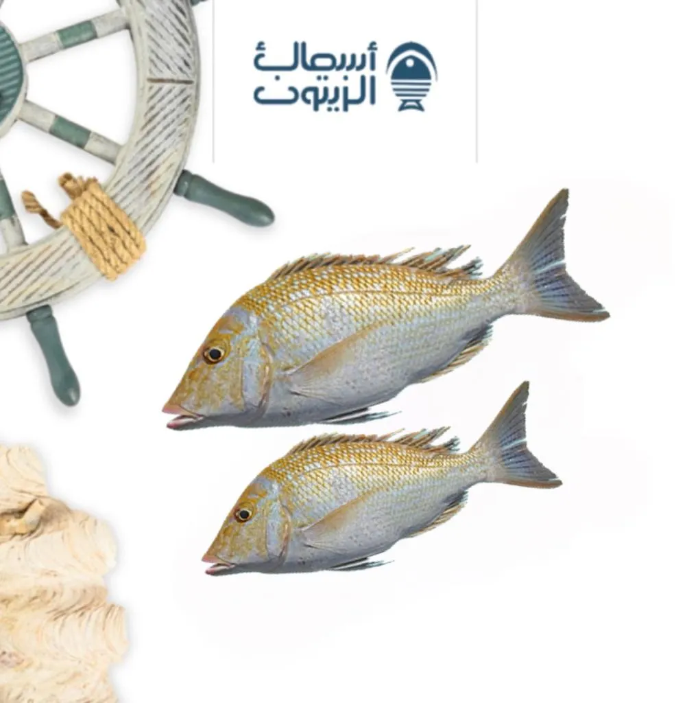 شعور نص كيلو