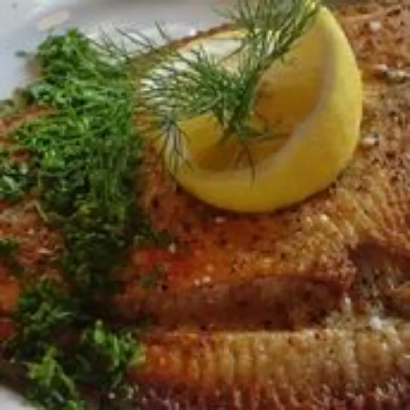 Sole Fish 