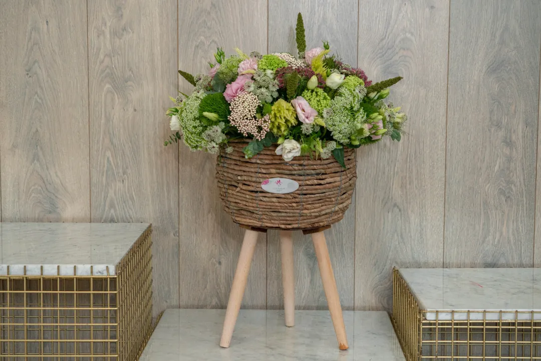 Chic Tranquility