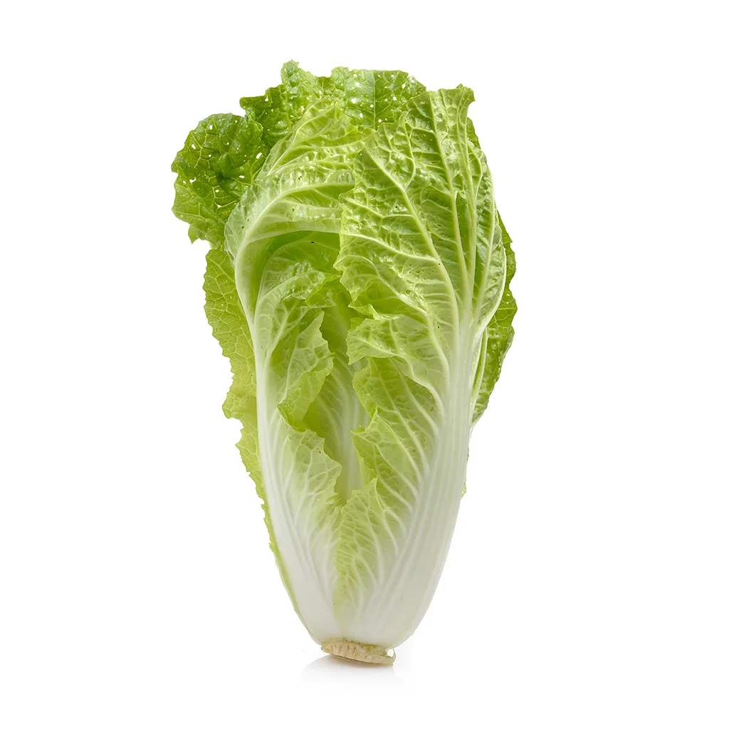 Lettuce Romaine