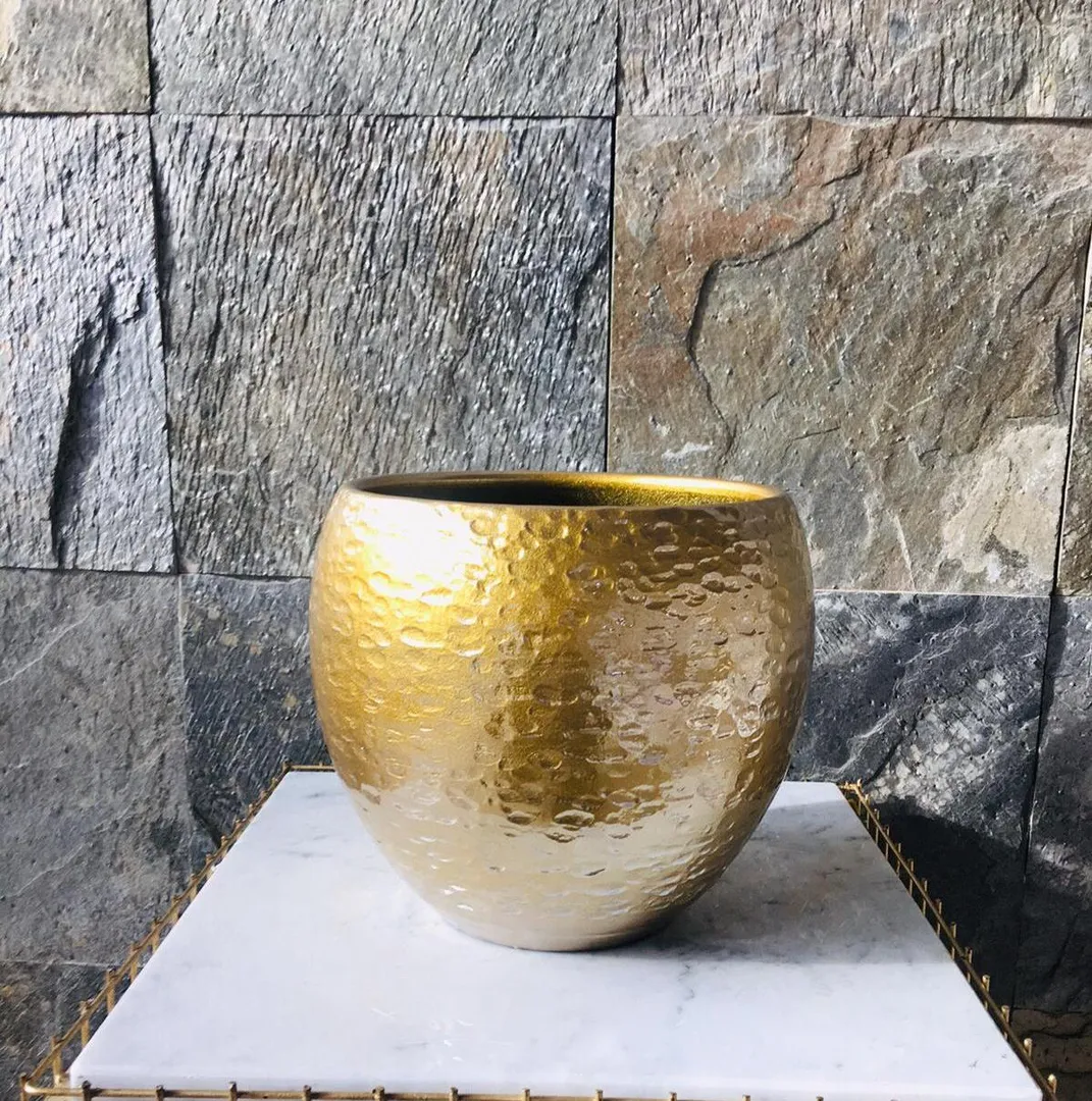 Dutch pot torro gold-4