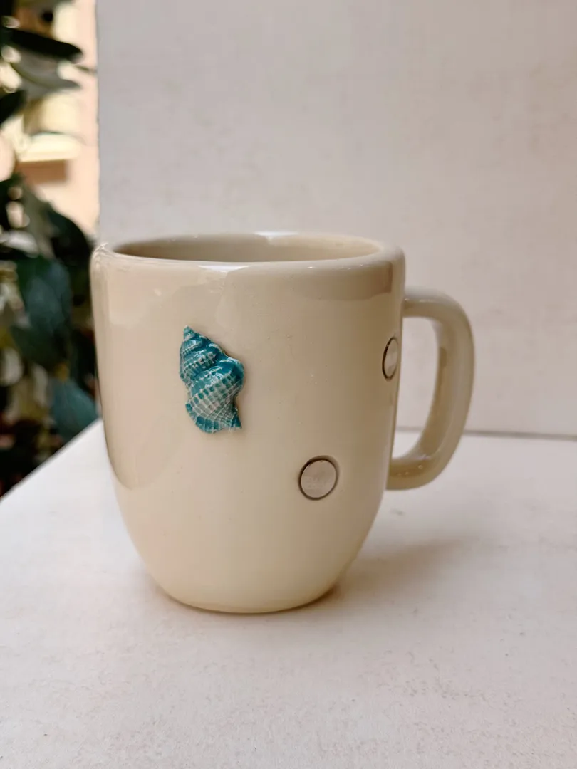 Turquoise seashell
