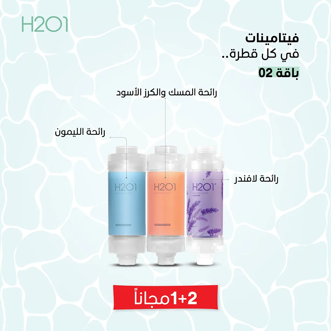 Limited Offer 2+1 Free - B