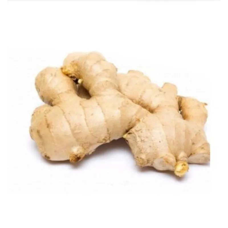 Ginger