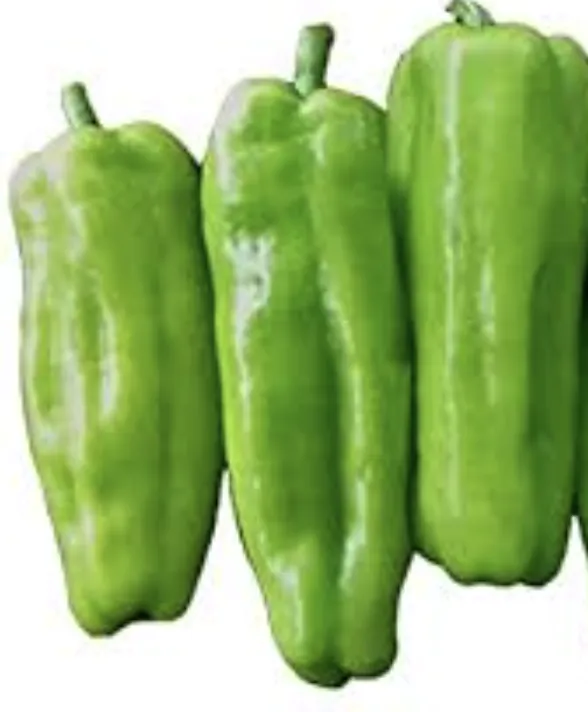 Green italian capsecum