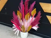 حلمي 2