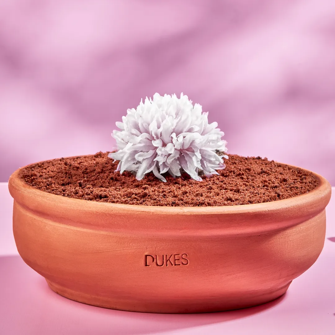 Vanilla Family Dirt Cake