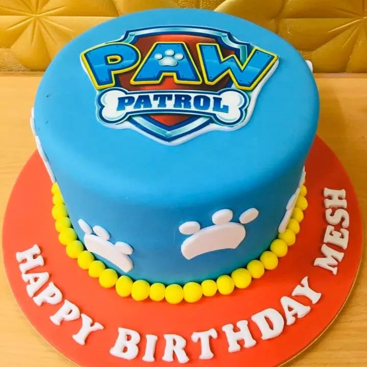 paw patrol