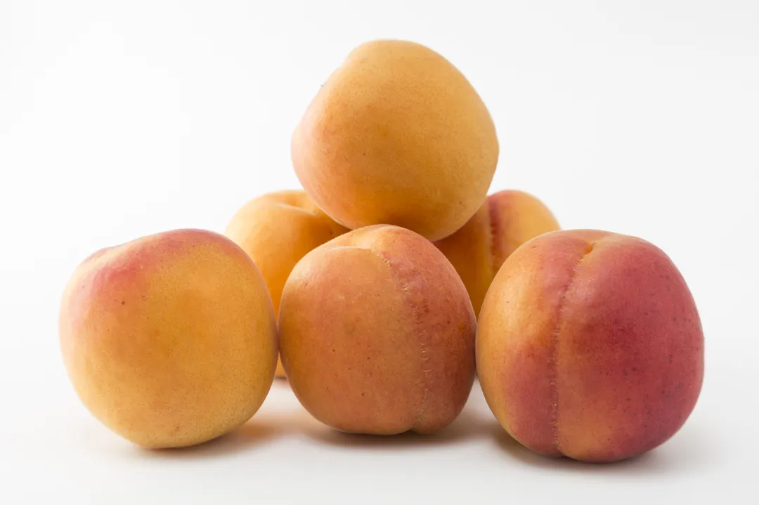 Apricot