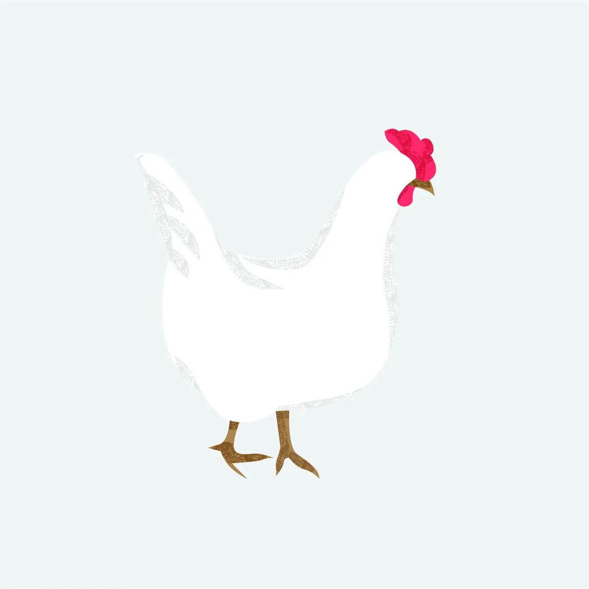 دجاج