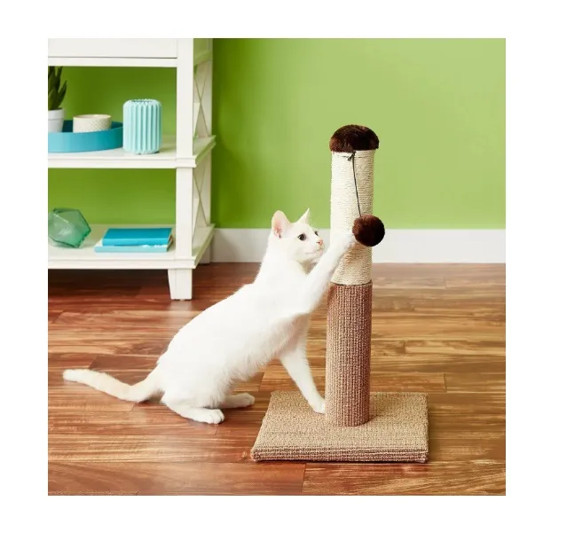 Pets Accessories