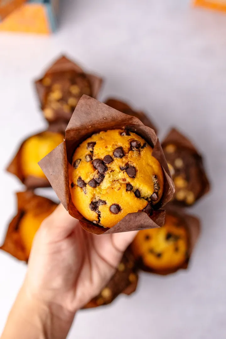 Chocolatechip Muffin