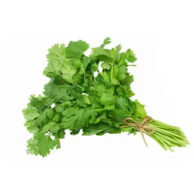 Coriander