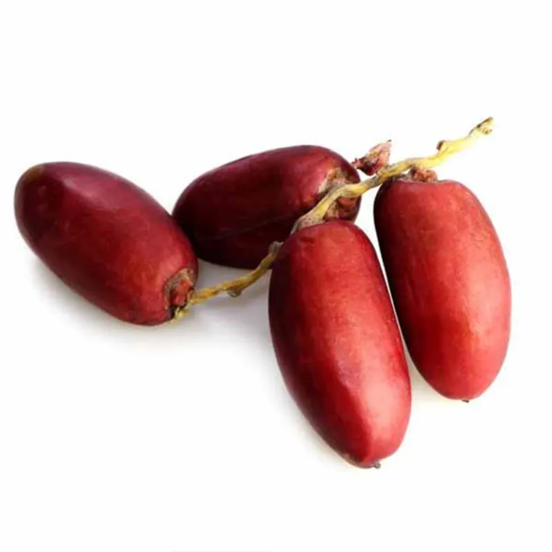 بلح زغلول