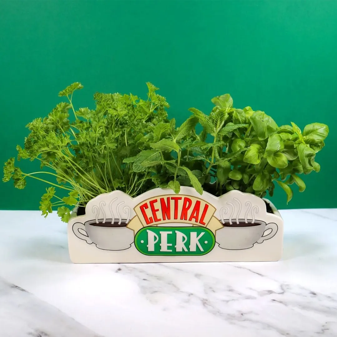 Friends Central Perk Tabletop Planter Vase
