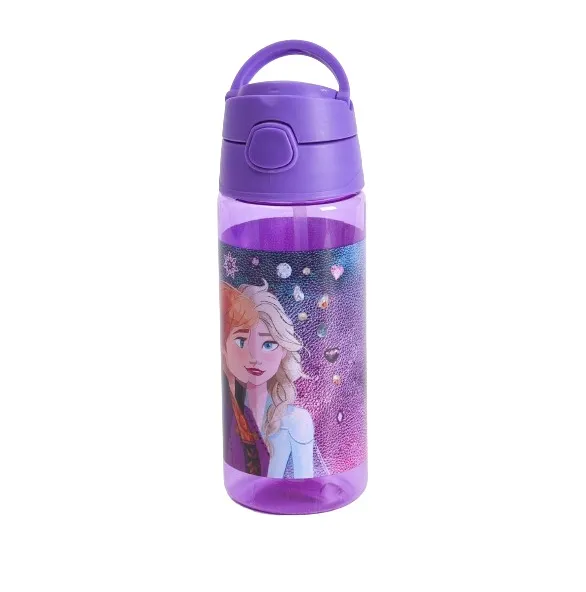 Frozen Plastic Water Bottle Leading Together - 500 ML