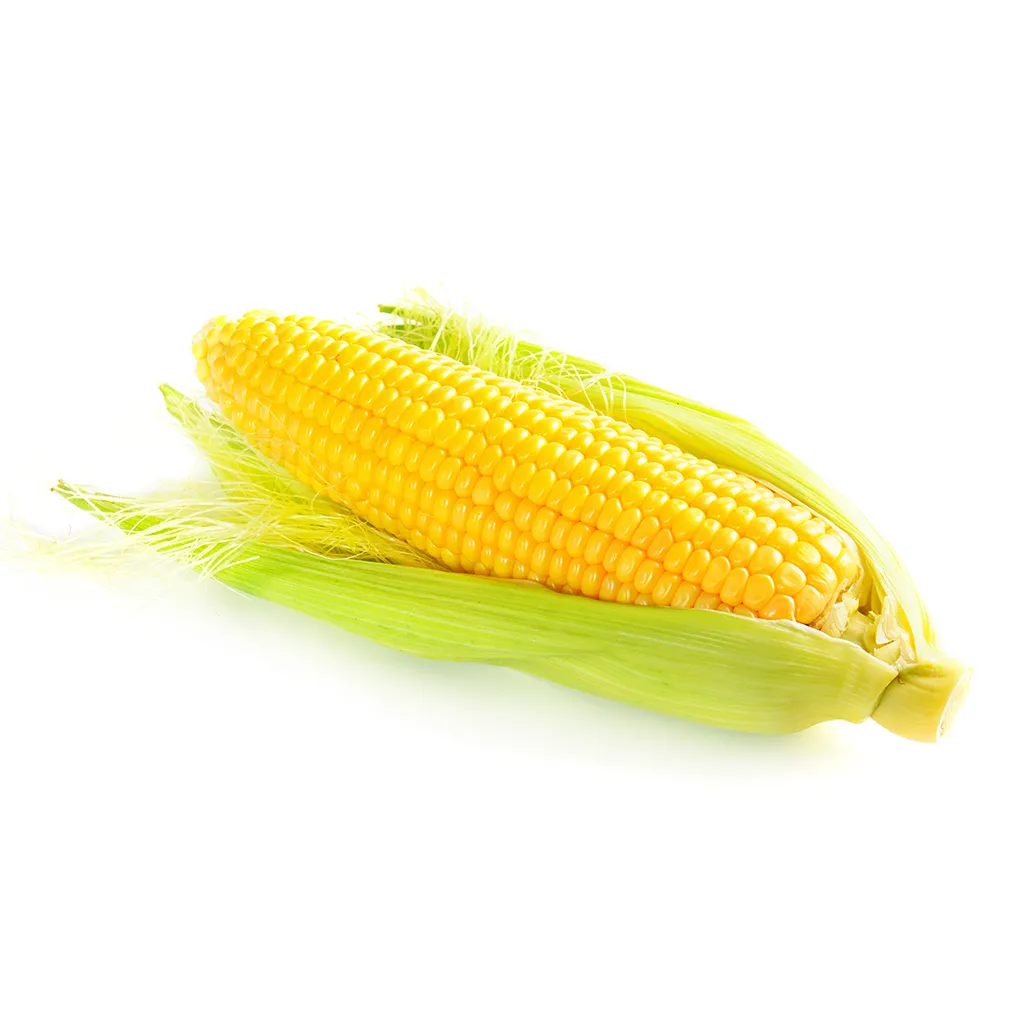 ذرة صفراء