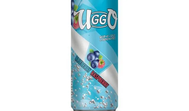 UGGO Blueberry Raspberry Carbonated 250 ml