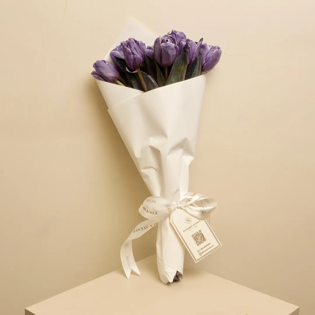 Purple Tulip