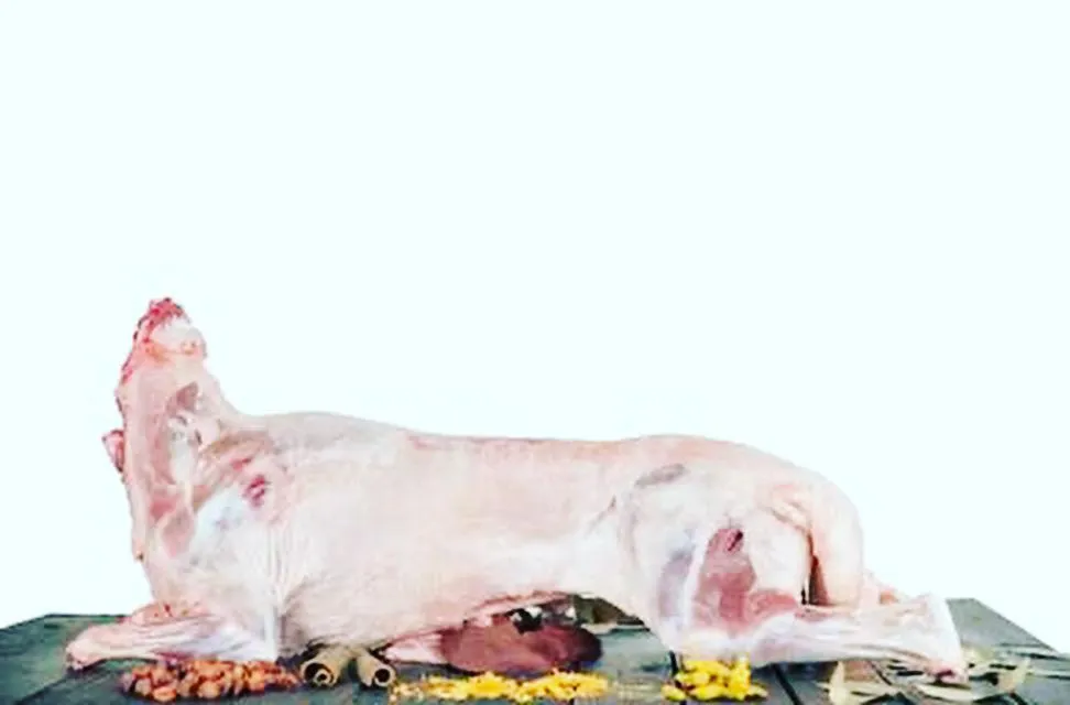 Turkish lambs carcass 14 to 15 kg