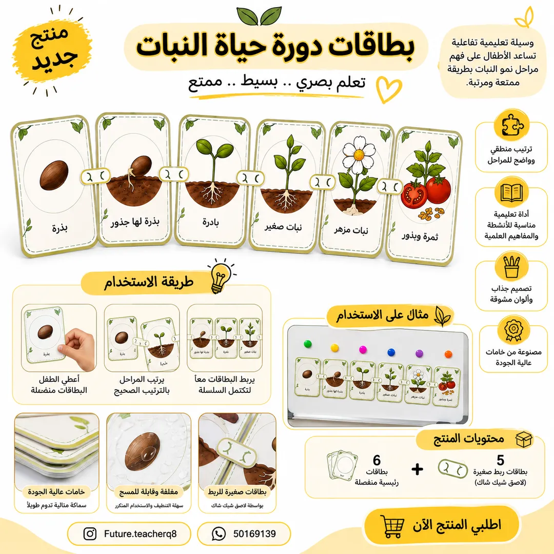 سلسلة بطاقات دورة حياه النبات