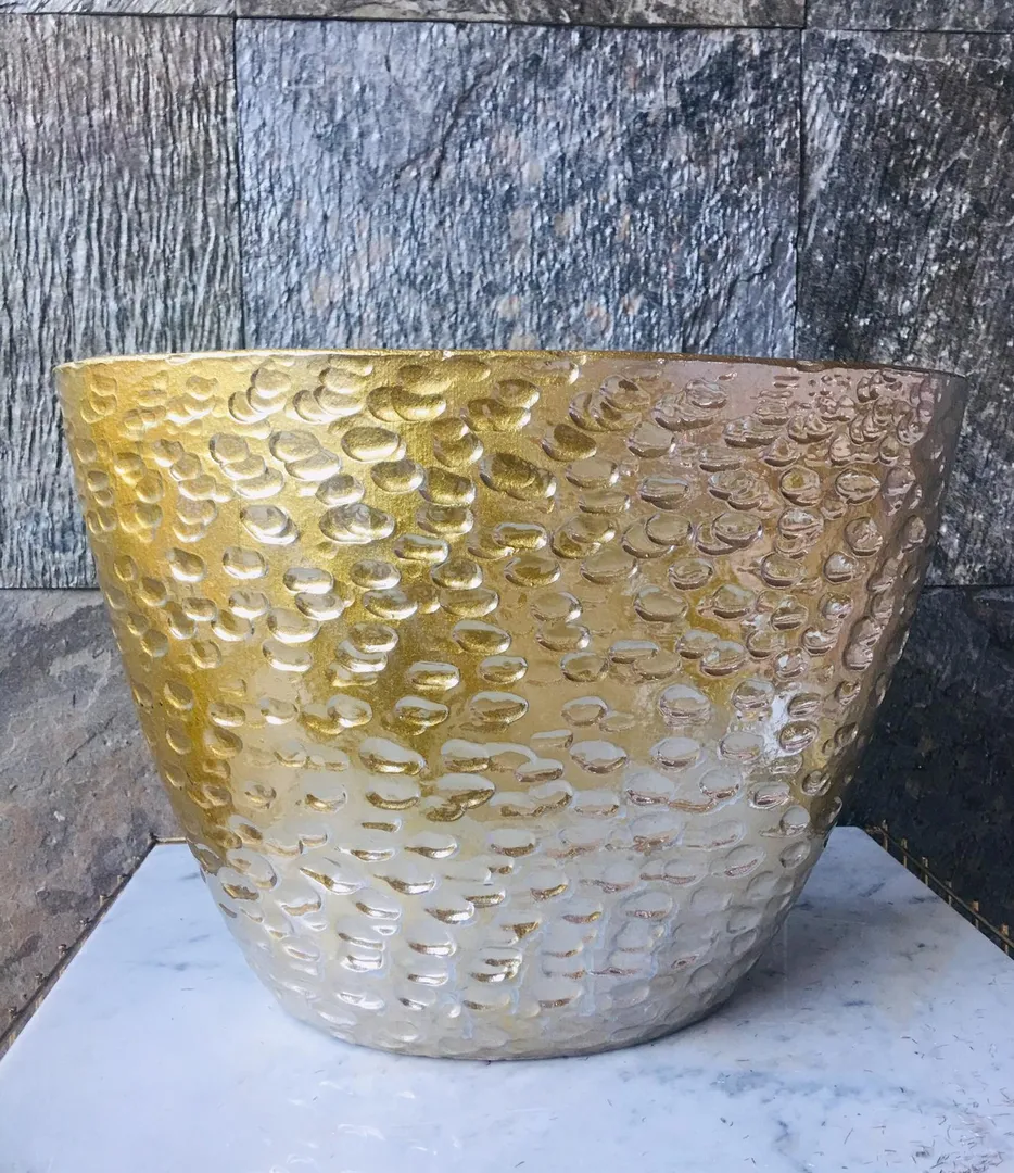 Dutch jard torro gold-2