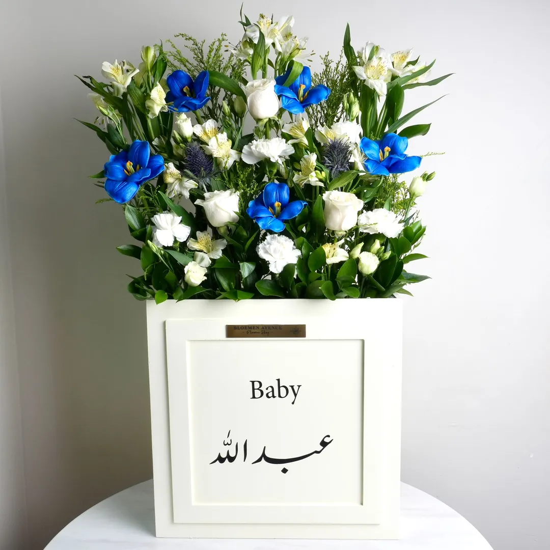 Blue Baby Blossom T27