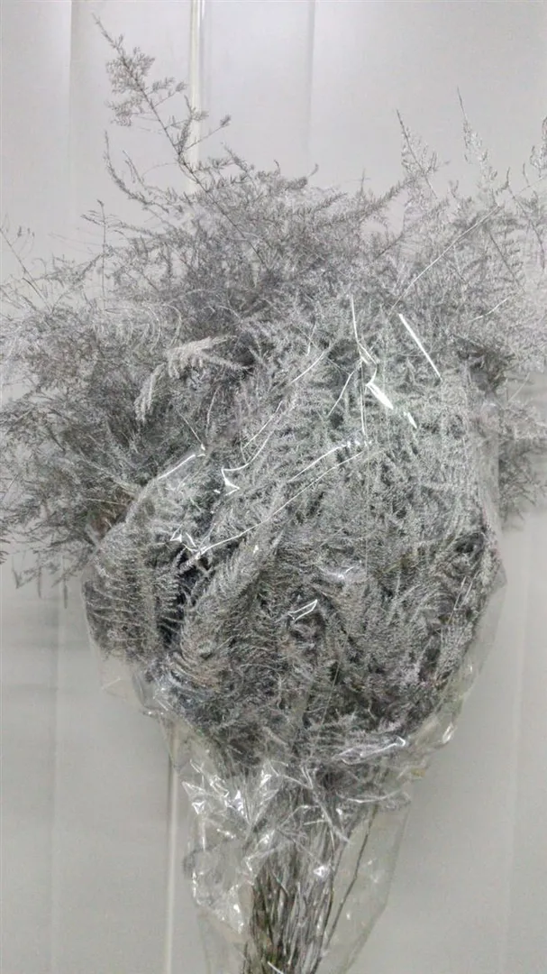 Blad Asparagus Paint Silver