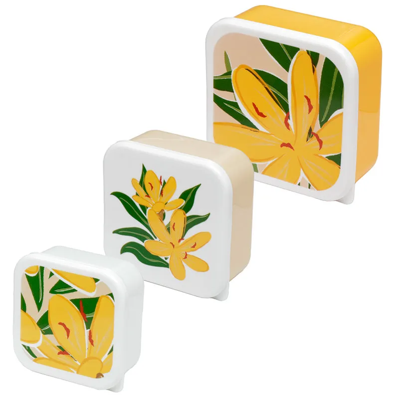 Lunch Boxes Set Of 3 - Florens Hesperantha
