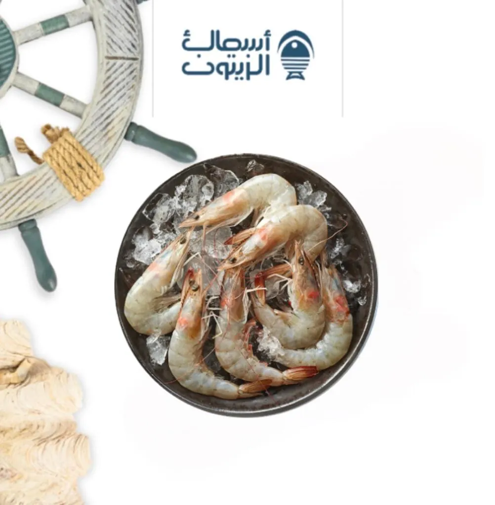 جمبري جامبو كيلو