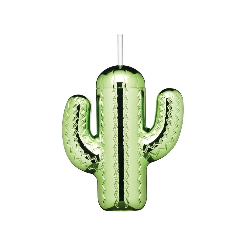 Cactus Drinks Jar With Straw